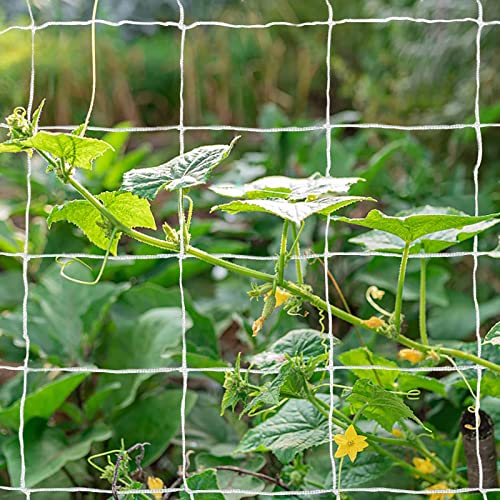 Tcamp Heavy-Duty Polyester Plant Trellis Netting 5 x 30ft (1 Pack) - size: 6" Mesh (5 Ft X 30 Ft)