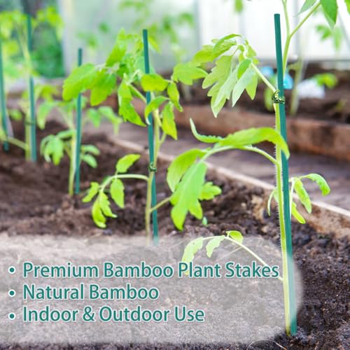 Bamboo Plant Stakes 50PCS,18IN Natural Bamboo Stakes Garden StakesWith Ties - color: Green, size: 18 Inch 50Pack