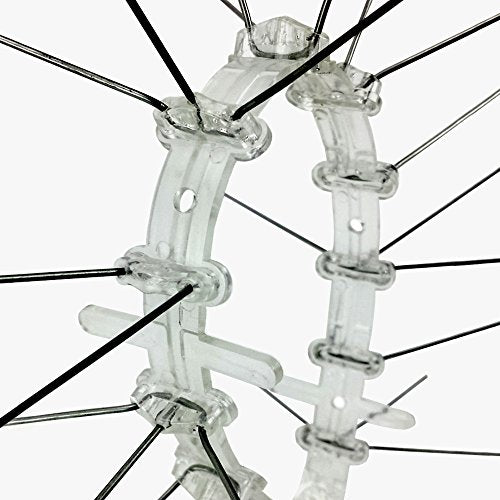 Bird-X STS-24 Regular Width 6-inch Stainless Steel Bird Spikes, Metal Pigeon Barrier, 24 Feet 6 Inch Wide Coverage - size: 24 feet