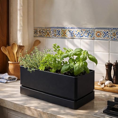 D'vine Dev Rectangular Planter, 12 x 6.5 in, Black, 76-P-B-1 - color: Black