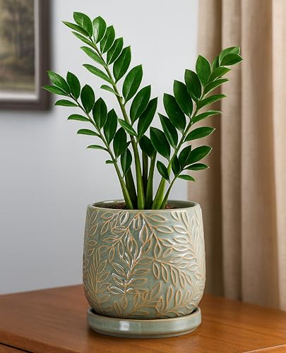 D'vine Dev Embossed Leaves Ceramic Planter, 6 in, Olive, 27-A-X-0 - color: Olive, size: 6 Inch