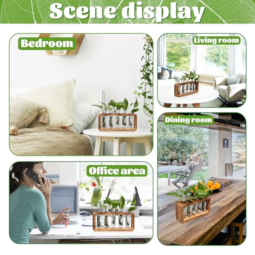Glass Plant Propagation Station with 5 Test Tubes Colorful Planter Vase - color: Gray