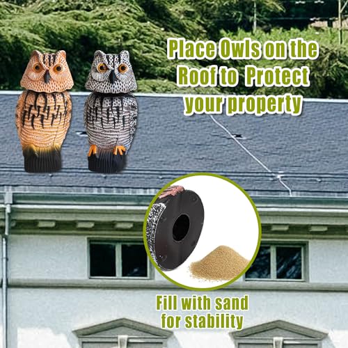 Owl Decoy to Scare Birds Away Scarecrow Fake Owl with Rotating Head (2 Pk) - color: Set B