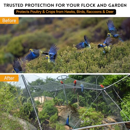 Heavy Duty Bird Netting for Garden with 1" Mesh, 25x25 ft Reinforced HDPE Chicken Netting & Pond Netting,Poultry Netting for Protecting Fruit Trees, Vegetables & Plants from Birds & Other Animals - style: 25' x 25' - 1"
