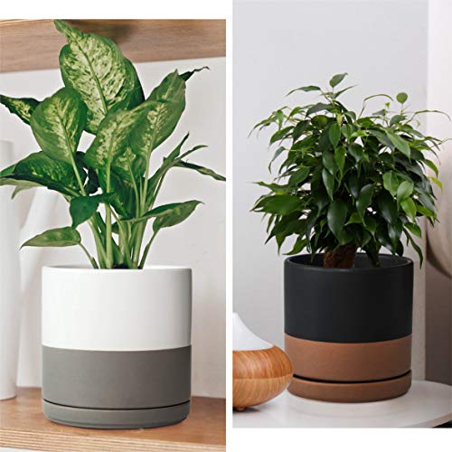 D'vine Dev Set of 2 Plants Pots, 6 Inch Ceramic Planter Pot for Plants with Drainage Hole and Saucer, White-Grey/Black-Tan, 94-V-C-C - color: White Grey/Black Tan, size: 6 Inch