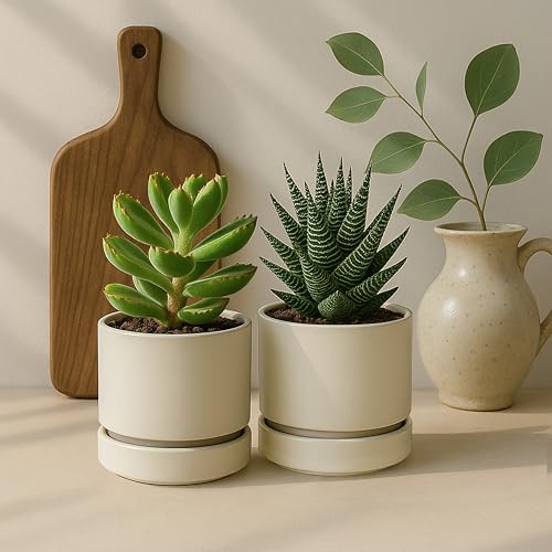 Phoenix Vine 4 Inch Planter Pot with Drainage Hole & Saucer, Deep Water Catch Tray, Straight Cylindrical Round Pot for Plants, Oatmeal, Pack of 2, 23-E-R-2 - color: Oatmeal, size: 4" (2 Pack)