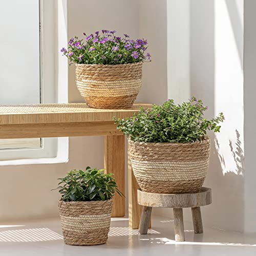 LA JOLIE MUSE Seagrass Basket Planters for Indoor Plants, Flower Pot 3 Pack - color: Beige