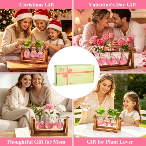 XXXFLOWER Plant Terrarium Kit with Wooden Stand 3 Gradient Pink Bulb Vases - color: Pink
