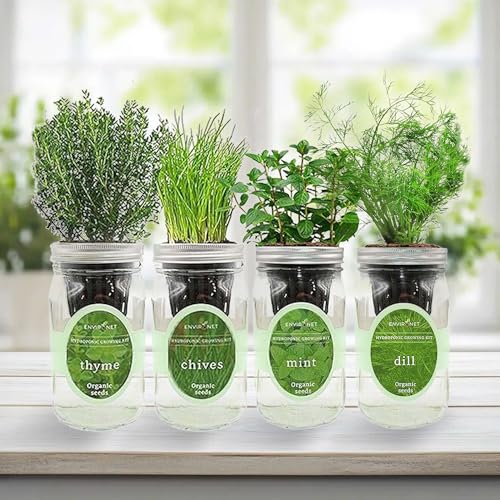 Mint, Chives, Thyme & Dill Mason Jar Herb Garden Kit, Fresh Savory Herb Collection, 4 Pack Indoor Hydroponic Growing Kit - color: Mint+Chives+Thyme+Dill