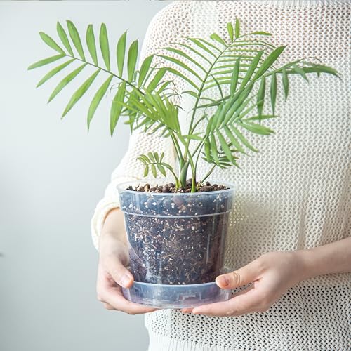 6 Inch Clear Plastic Plant Pot with Drainage Holes, Interlocking & Detachable Tray - Deep Saucer - Durable BPA-Free Plastic, Transparent Design, Raised Base for Airflow, Set of 6, 92-X-A-5 - size: 6" x 5.5"