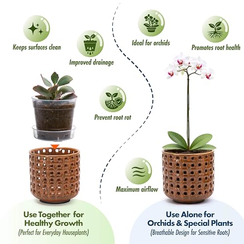D'vine Dev Orchid Pot, Clear Pot & Saucer, Pumpkin, 4.5 in, 28-A-Z-5 - color: Pumpkin, size: 4.5"