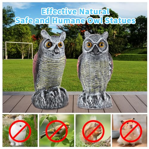 Hedoc 2 Pack Fake Owl Decoys to Scare Birds Away from Gardens and Rooftop, Long-Eared Owl Bird Deterrents, Nature Scarecrow Plastic Owls Pest Repellent, Owl Statue for Garden Decor, Yard Decoration - style: Long-Eared Owl