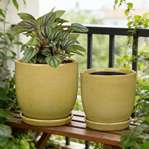 GnFlus Ceramic Plant Pots 5 Inch + 4 Inch Set of 2, Flower Plants Pot with Drainage Holes and Saucers Tray Planter Garden Pot for Succulent Cactus Home Decoration Gift Indoor Outdoor Green - color: Green