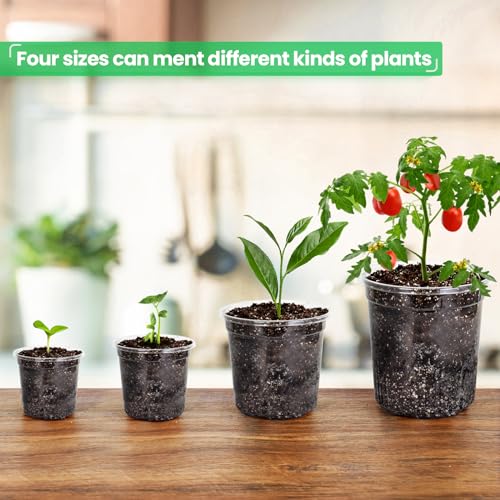 Bluepro Clear Nursery Pots with Drainage Holes, 3.5/4/5/7 Inch, 36-Pack - size: 3.5/4/5/7 Inch-36Pcs