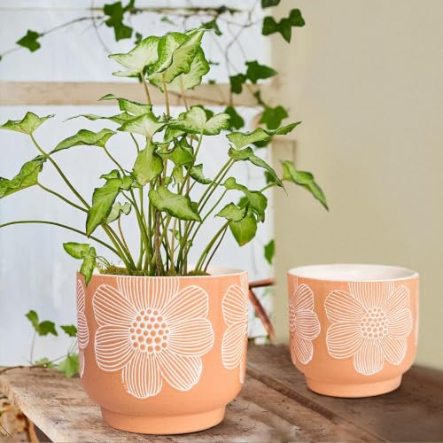 Ceramic Plant Pots, 8+6 Inch, 2 Pcs Indoor Planters with Drainage Holes - color: Modern Orange Floral, size: 8+6 Inch