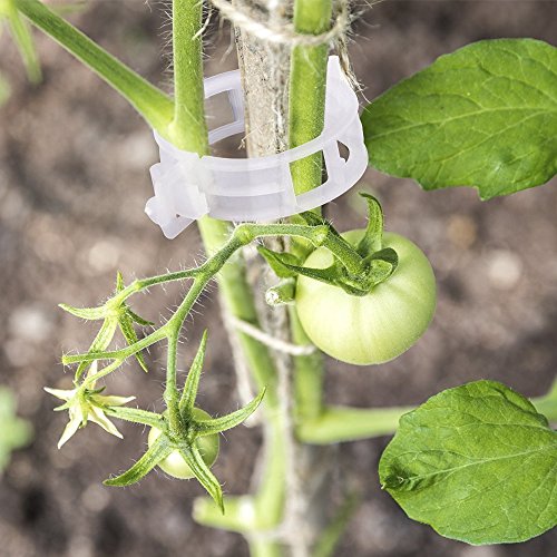 KINGLAKE Plant Support Garden Clips,Tomato Vine Clips,Tomato Trellis Clips 200 Pcs for Vine Vegetables Tomato to Grow Upright and Makes Plants Healthier - color: White