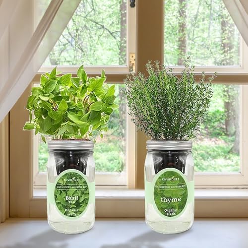 2-Pack Hydroponic Mason Jar Herb Garden Kit, Indoor Herb Garden Self-Watering Starter Kit, New Christmas Gift for Mom (Thyme,Thai Basil)