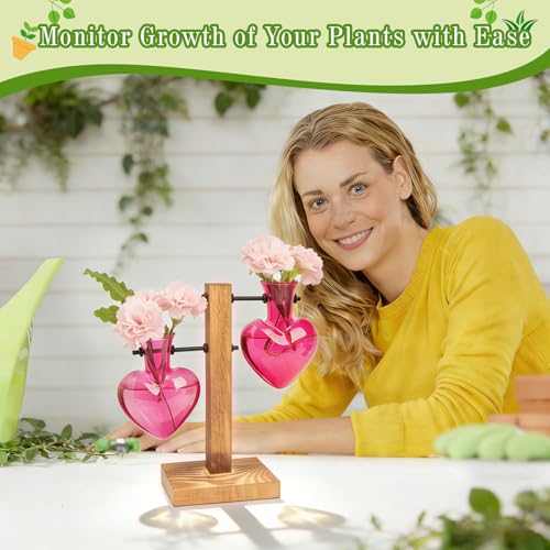 XXXFLOWER Plant Propagation Station Terrarium 2 Pink Heart Shaped Vase - color: Pink