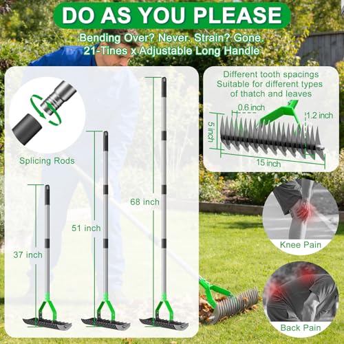 21-Tine Thatch Rake for Lawn,15" Heavy Duty Dethatcher Rake with 68" Handle - color: Green