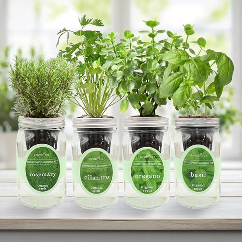 Hydroponic Mason Jar Organic Herb Seed Starter Kits - Mediterranean Herb Mix Growing Kits, Windowsill Herb Garden, Gardening Gift (Rosemary, Cilantro, Oregano, Basil) - color: Mediterranean Herb Mix Kits