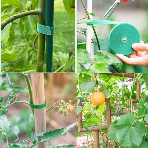 65.6 Feet Garden Ties Plant Tape 1/2'' Wide Green Gardening Tape Plant Ties Strap for Climbing Plants Reusable Plant Tape Supports for Indoor Outdoor Flowers, Vines, Tomatoes(65.6ft) - size: 65.6ft