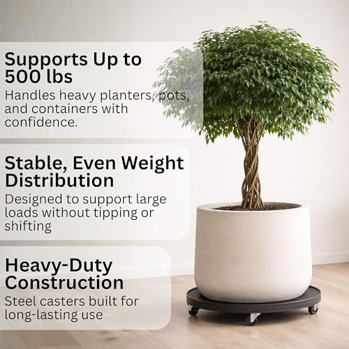 DeVaultEnterprises Devault 16 Inch Plant Dolly Multi-Pack, Heavy Duty Rolling Plant Caddy with Wheels for Large Pots and Planters, 500 lb Capacity, Made in USA (1, Black/Hole)