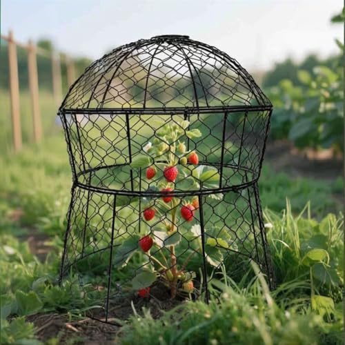Garden Cloches for Plants 6 Pack Metal Plant Protectors from Animals Chicken Wire Cloche Updated Plant Cages for Outdoor Plants Vegetables Seedlings 13" D x 14" H - style: 6 Pack