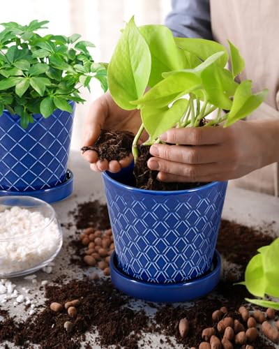 EFISPSS Ceramic Plant Pots, 5Inch Pots for Indoor Plants, Planters with Drainage Holes and Ceramic Tray,Plant Lover Gift, Desktop Office Windowsill Decoration Gift Set of 4 - Blue - color: Crystal Blue
