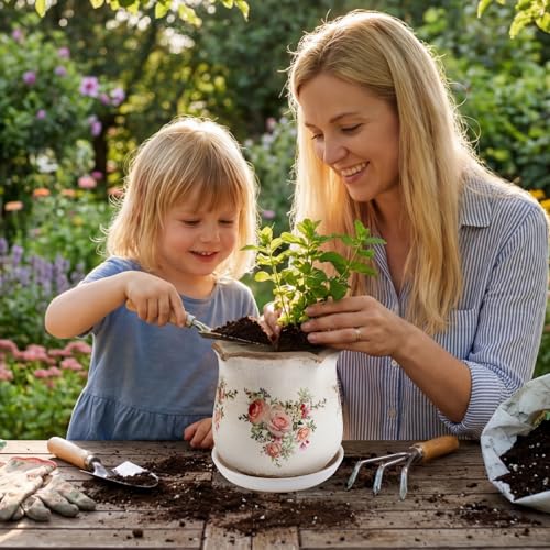 Ceramic-Planters-for-Indoor-Plants with Saucer, 6 inch Vintage Ice Crackle Glaze Plant Pots with Drainage Holes, Decorative Flower Pots for Outdoor Garden Home Decor, Tuscan Pot for Plant - color: Pink Rose