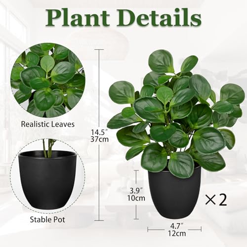 14.5" Artificial Plants Indoor Home Decor Set of 2 Faux Peperomia Plants - color: 2 Sets # Total Green