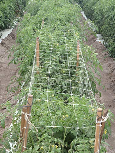 Tenax 2A150029 Hortonova Plant Trellis 48" x 250' White - size: 48" x 250'