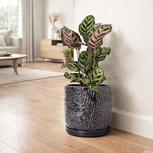 D'vine Dev Embossed Leaves Ceramic Planter, 8 in, Midnight Blue, 27-A-Q-3 - color: Midnight Blue, size: 8 Inch