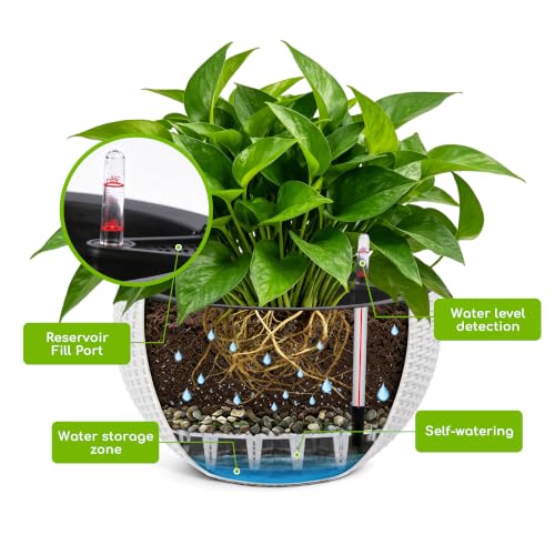 2 Pack 13.5" Self-Watering Hanging Baskets, White - color: White