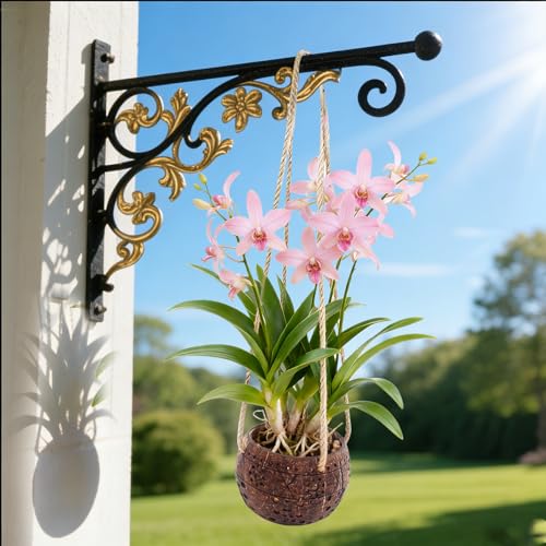 2Pcs Coconut Hanging Orchid Pot with Rope,Handmade Coconut Planters for Plants Outdoor, Hanging Orchid Planter Basket for Home Garden Porch Balcony