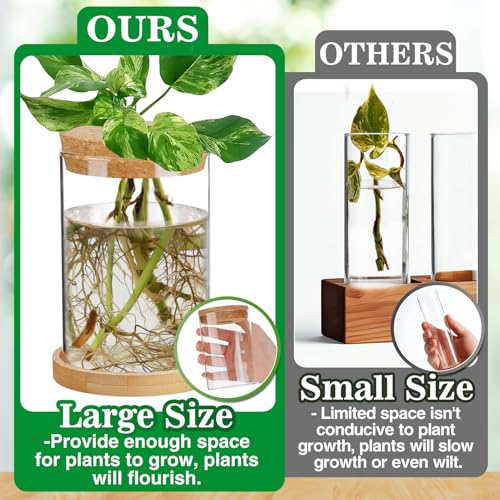 Biggun 2 Pcs Glass Plants Propagation Stations for Home Office Decor