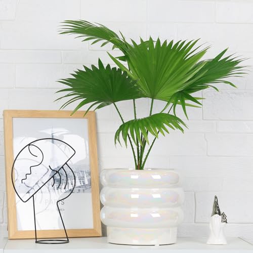 8 Inch Ceramic Plant Pot with Drainage, Planter for Indoor Plants - color: White, size: 8 Inch (Single)