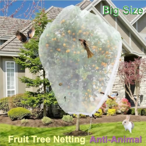 Fruit Tree Netting 4 Pack 10x10 FT with Drawstring and Zipper - Reusable Plant Protection Cover, Heavy Duty PE Mesh Netting for Blueberry Bushes - Blocks Birds/Deer/Squirrels