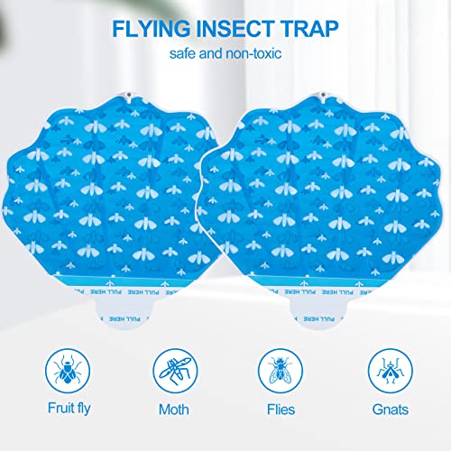 Gnat Traps for House Indoor HU002 Plug-in Fly Trap Indoor (1 Pack, White) - size: 1 Pcs