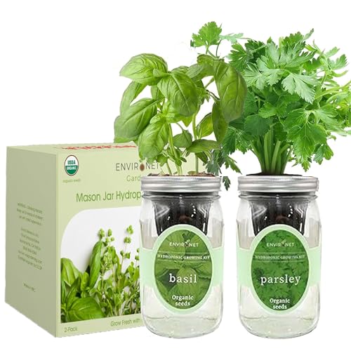 2-Pack Hydroponic Mason Jar Herb Garden Kit, Indoor Herb Garden Self-Watering Starter Kit (Basil, Parsley) - color: Basil, Parsley