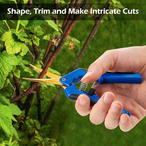 1PC Pruning Shears, Titanium Coated Garden Trimming Scissors with Coil Spring, Precision Gardening Hand Pruning Snips for Bonsai, Flowers, Plants Cutting (blue,curved blade) - color: Blue