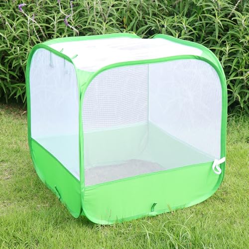 Mesh Plant Cover for Outdoor, Plant Netting Protector Garden Cover Cloche for Fruit, Vegetables, Strawberry, Flowers and Herbs Pop-Up Cage with 4 Stakes (White with Green, 19.7" x 19.7" x 19.7") - size: 19.7 x 19.7 x 19.7 inches