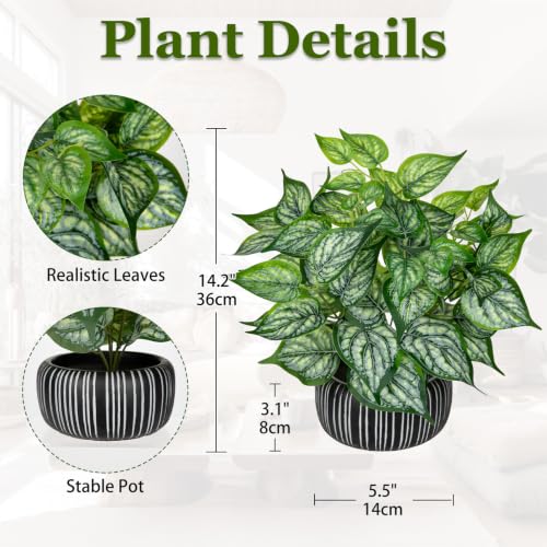 Artificial Plants Indoor Home Decor Small Faux Plant in Oval Ceramic Pot - color: #Green Mix White in Oval Ceramic Pot