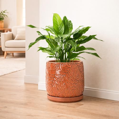 D'vine Dev Embossed Leaves Ceramic Planter, 8 in, Pumpkin, 27-A-Q-J - color: Pumpkin, size: 8 Inch