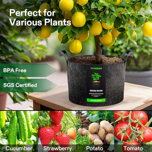 VIVOSUN 5-Pack 30 Gallon Plant Grow Bags Fabric Pots with Handles - color: Black, size: 30 Gallons