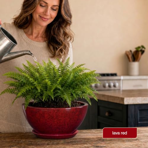 Rosie Planter Bowl, with Drainage and Saucer, 10” Lava Red - color: Lava Red