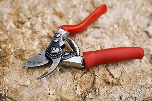 Felco F 15 Pruning Shears – 4.7" Garden Clippers with Rubber Grip & Anvil Blade | Hand Pruners for Gardening | Garden Tool Cutter with Forged Aluminum Handle, Lightweight Precision for Small Hands - size: F15 Small Rotating Handle