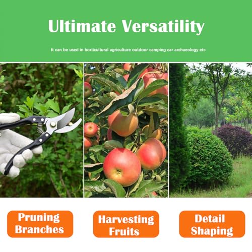 Garden Pruning Shears, Heavy Duty Stainless Steel Gardening Scissors for Plants, Sharp Handhled Trimmers, Bypass Blade Pruner for Branch, Hedge, Shrub, Flowers or Bonsai, Gardening Tool (Black)