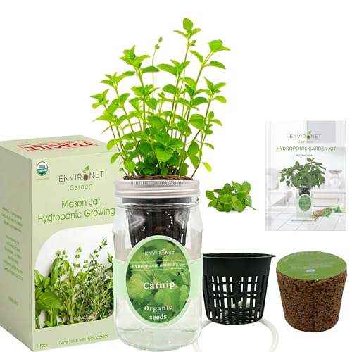 Hydroponic Herb Growing Kit, Self-Watering Mason Jar Herb Garden Starter Kit Indoor, Grow Your Own Herbs from Seeds (Catnip)