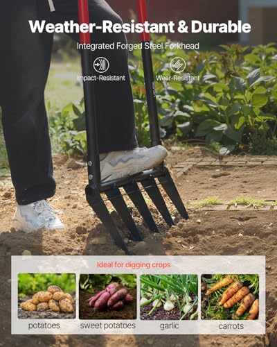 VEVOR Broad Fork, 5-Tine Pitchfork with Dual Fiberglass Handles, Heavy Duty Garden Fork, Ergonomic U-Shaped Design Broadfork Hand Tiller, Gardening Tool for Composting Transplanting Aeration - size: 5-Tine-U, style: Fiberglass Handle & Steel Fork