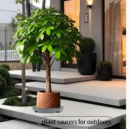 Prettyia Plant Saucer Plant Pot Tray and Plant drip Tray Plant Pot Saucers - size: 8 inch 3Pack